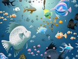 different fish wallpaper