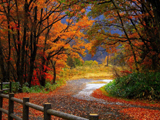 autumn season wallpaper