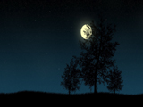 night moon wallpaper