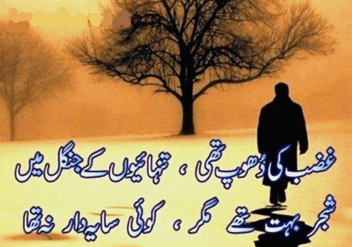 tanhai poetry urdu