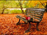 fall autumn bench