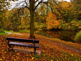 autumn background bench