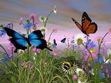 butterfly garden wallpaper