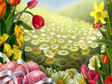 spring flower wallpaper