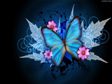 blue butterfly background
