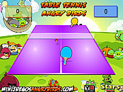 birds tennis game